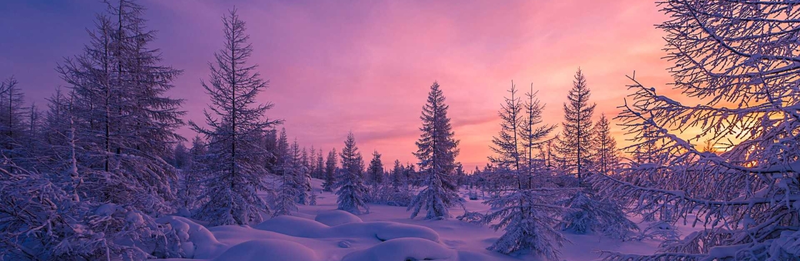 Chain Rui Cover Image